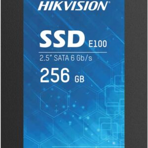 256GB HS-SSD-E100/256G