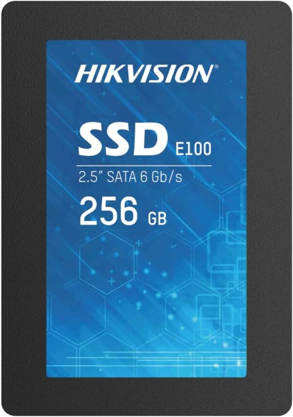 256GB HS-SSD-E100/256G