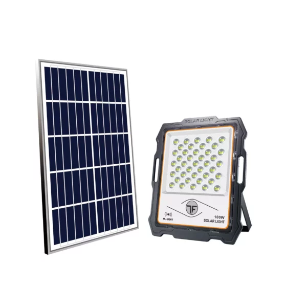 Solar Light 100W MJ-D901